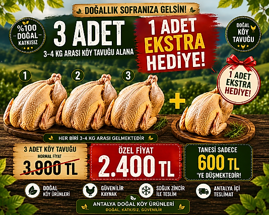 Doğal köy tavuğu 3-4 kg arası 3 adet alana 1 HEDİYE